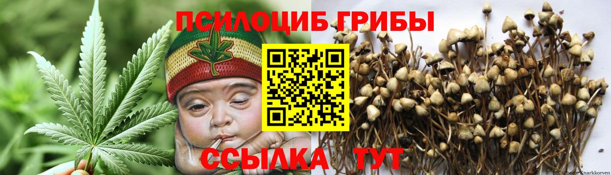 Галлюциногенные грибы ЛСД Карасук
